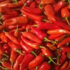 Kanpuriya Red Chilli - कानपूरिया लाल मिर्च